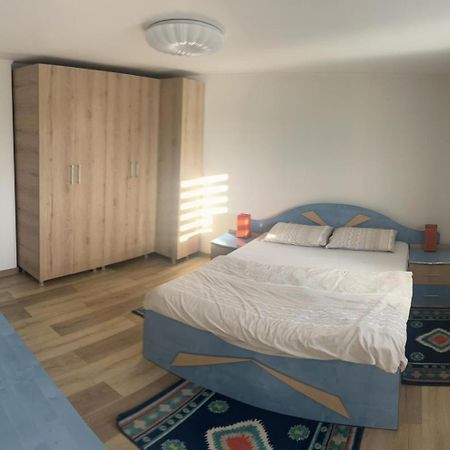 Târgu Jiu Vila Exclusive מראה חיצוני תמונה