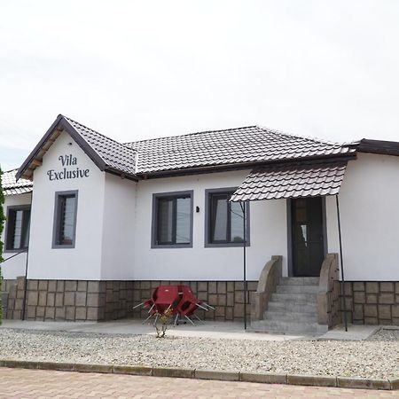 Târgu Jiu Vila Exclusive מראה חיצוני תמונה