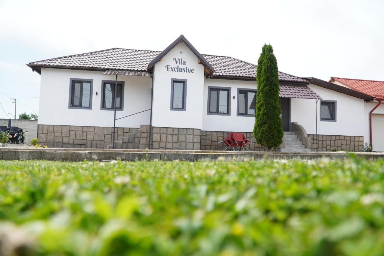 Târgu Jiu Vila Exclusive מראה חיצוני תמונה
