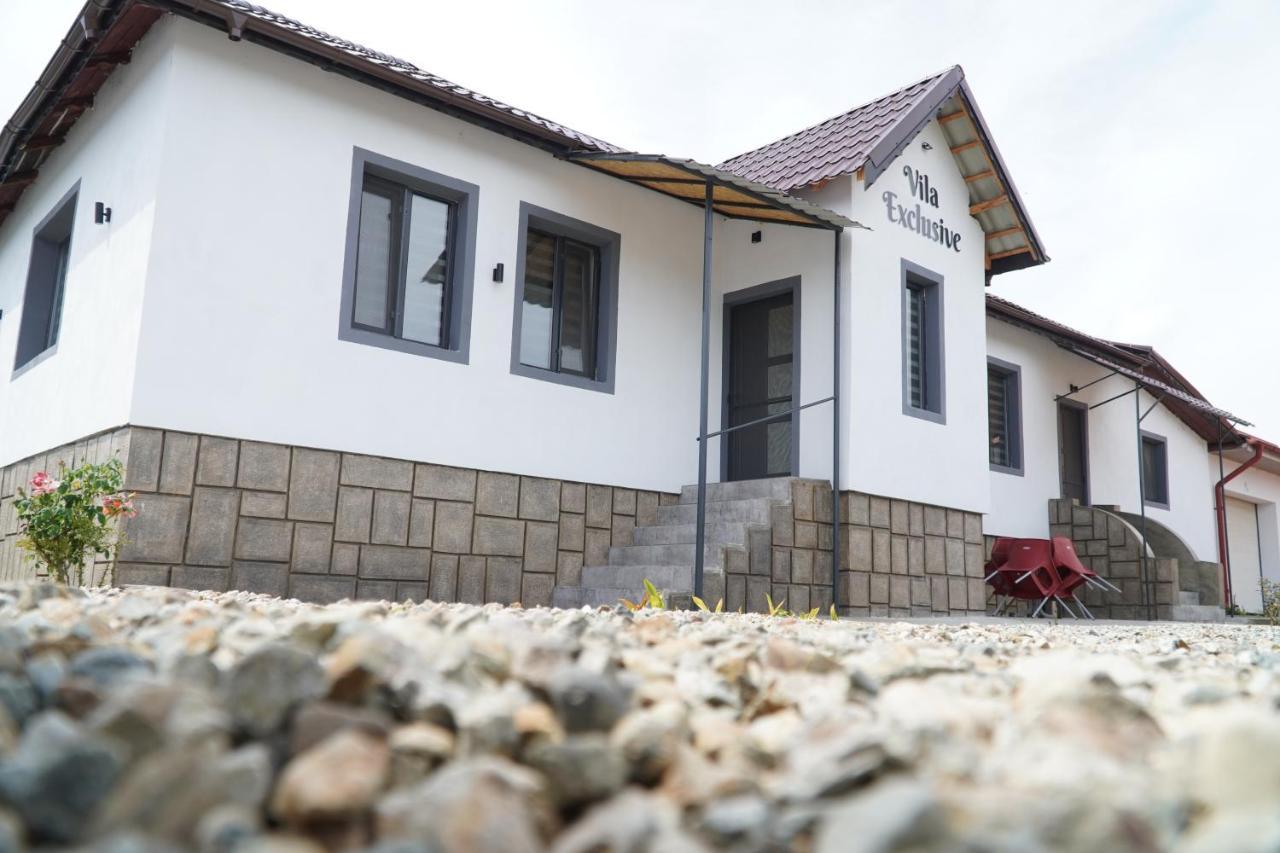 Târgu Jiu Vila Exclusive מראה חיצוני תמונה